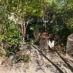 16 Bis-gite-hotel-appartement Marssac-sur-Tarn