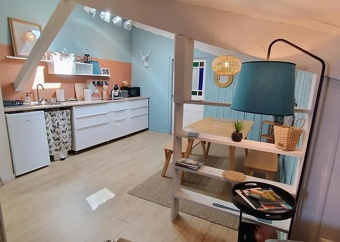 16 Bis-gite-hotel-appartement アパート Marssac-sur-Tarn